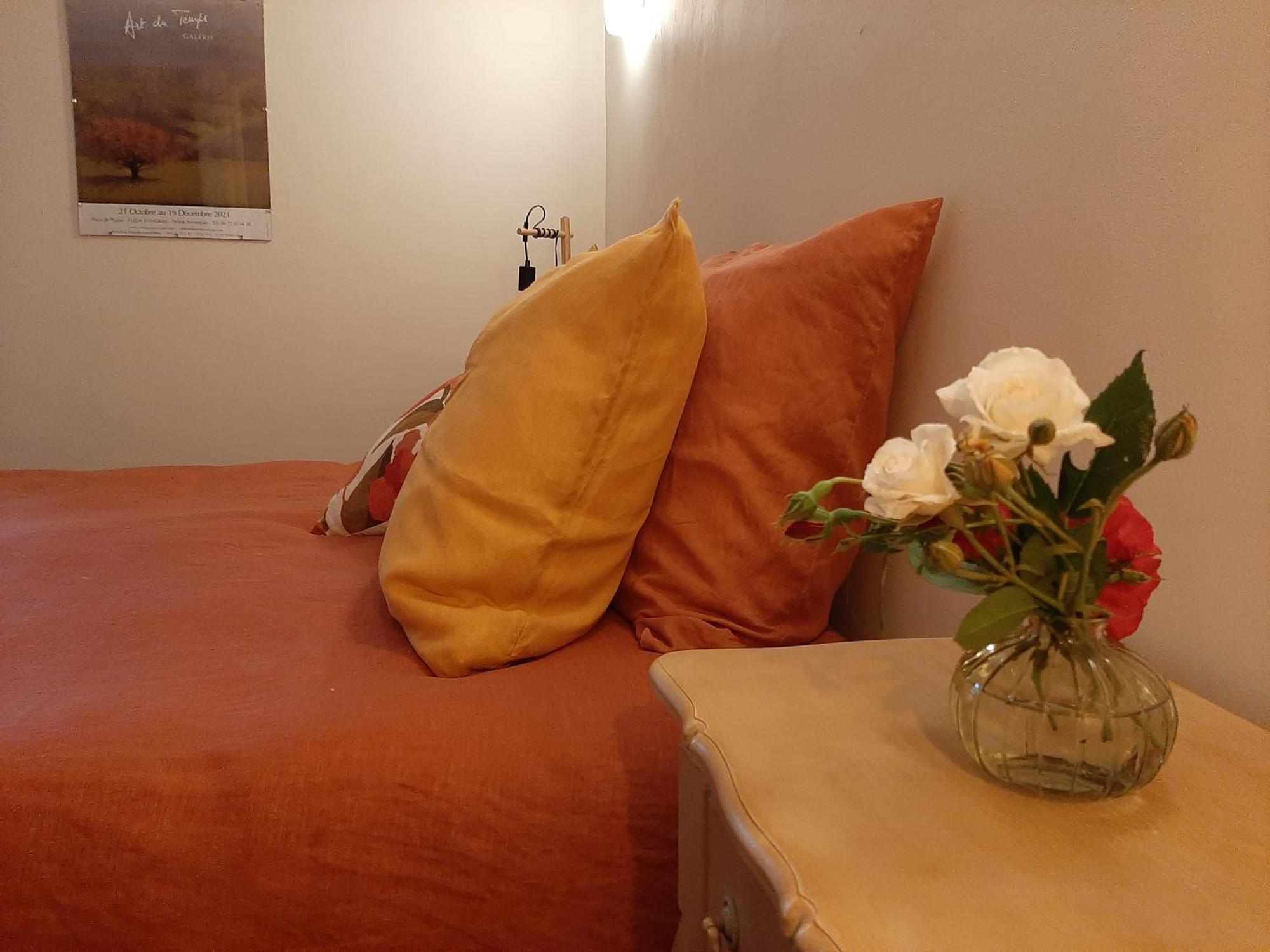 Chambre D'Hotes Charme Et Nature Vieille-Brioude Luaran gambar